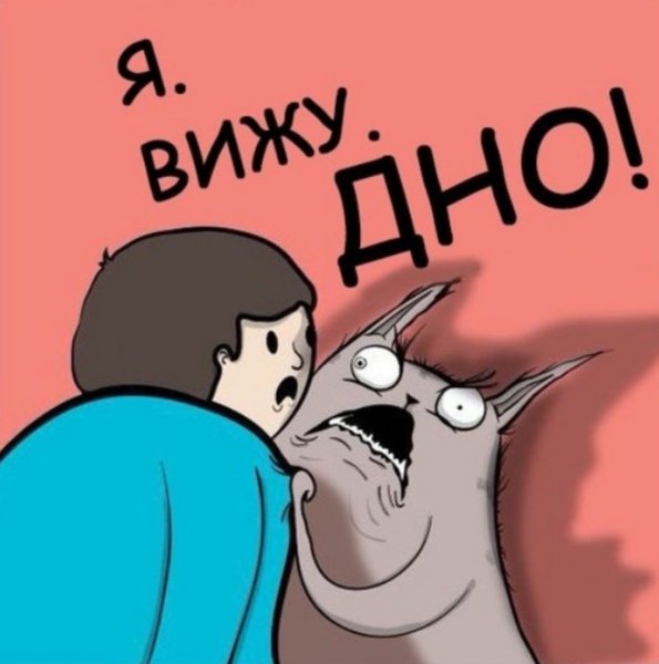 Кот я вижу дно миски