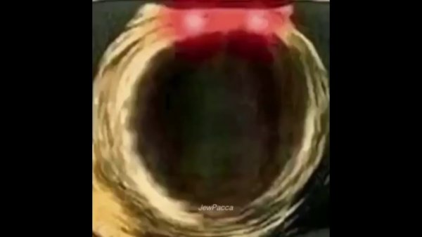 Глубокий вздох кот