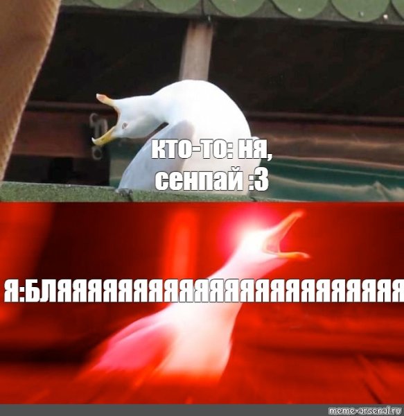 Мем Гусь глубокий вдох