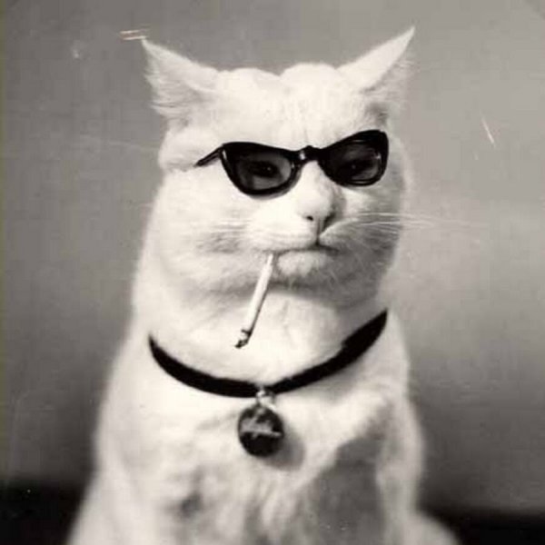 Чеплаков Александр Павлович