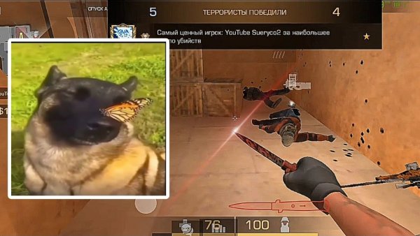 Добрая собака с бабочкой Мем