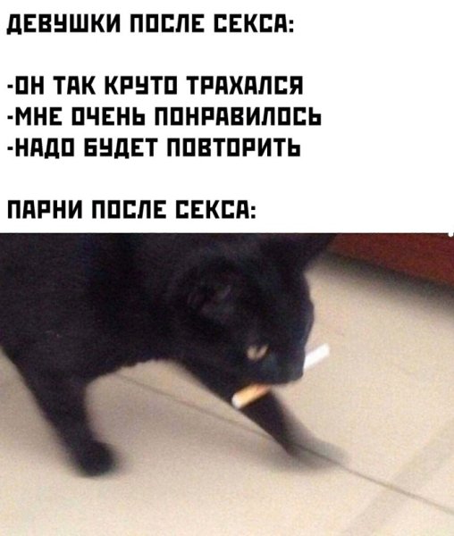 Черный кот с сигаретой