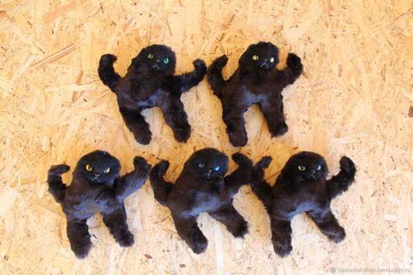 Мягкая игрушка кот ЪУЪ