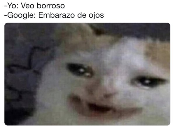 Грустный кот плачет