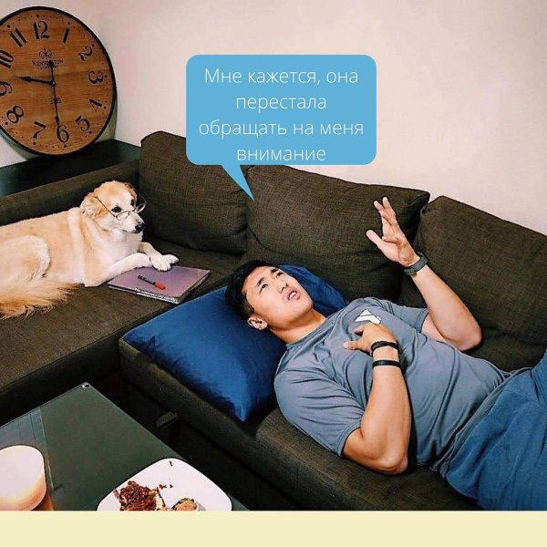 Кот психолог