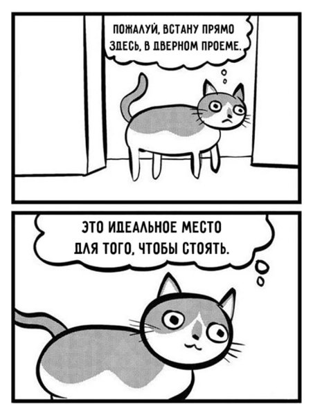 Комиксы про котов