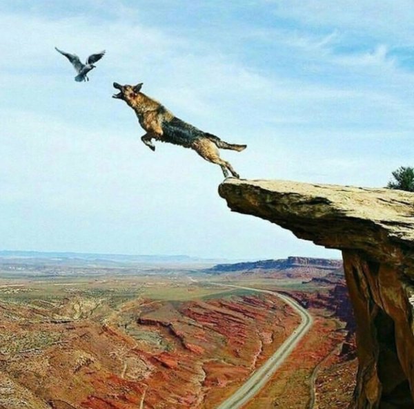 Выбор сделанный в гневе невозможно