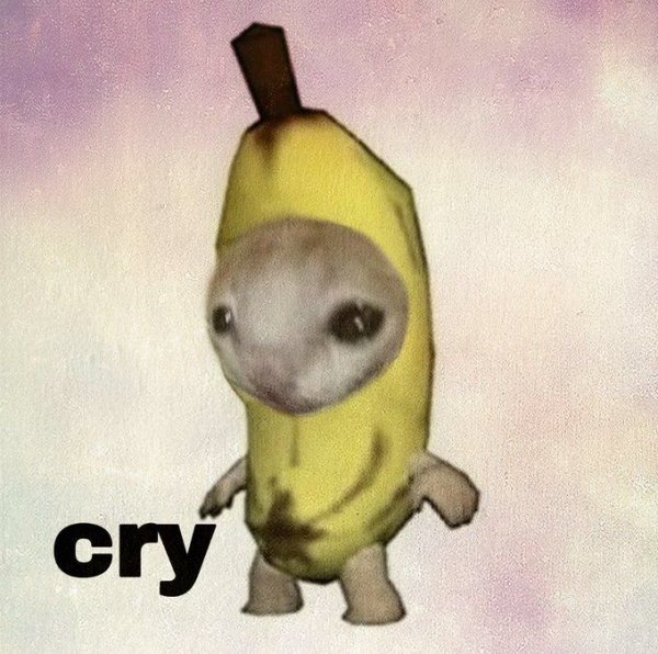 Кот в костюме банана Мем