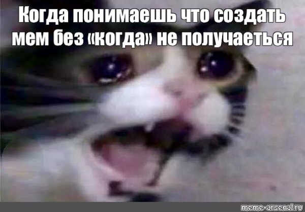 Плачущий кот Мем
