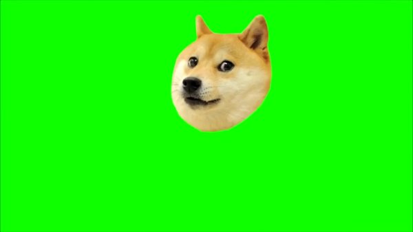 Пёс на зелёном фоне