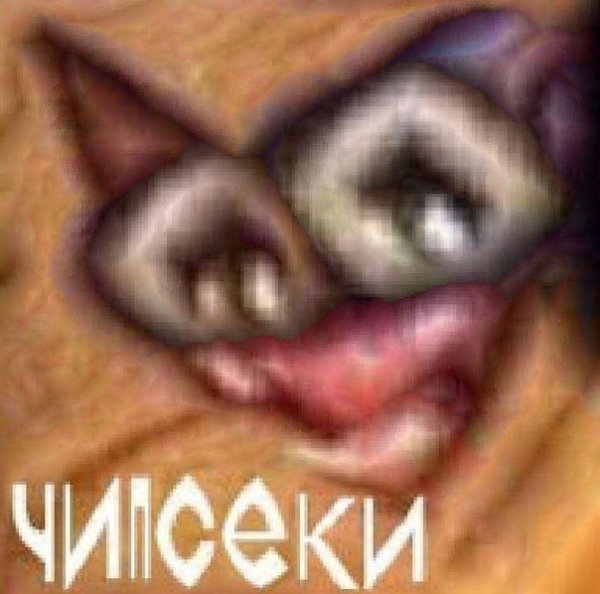 Сухарики кот