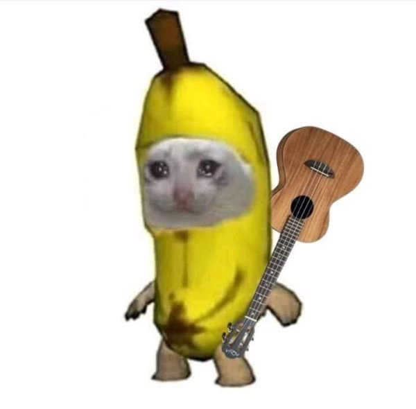 Кот в костюме банана Мем