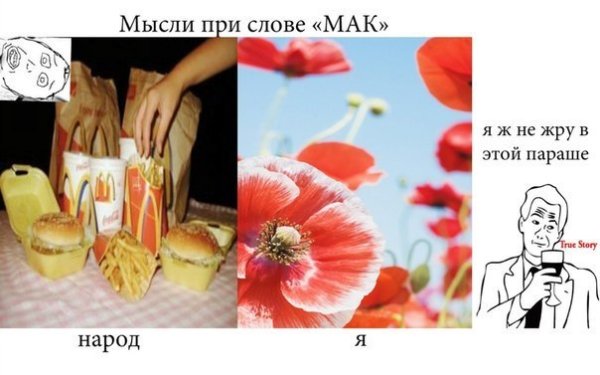 Мемы про Мак растение
