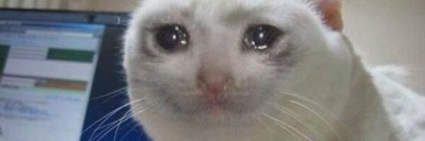 Кот плачет Мем