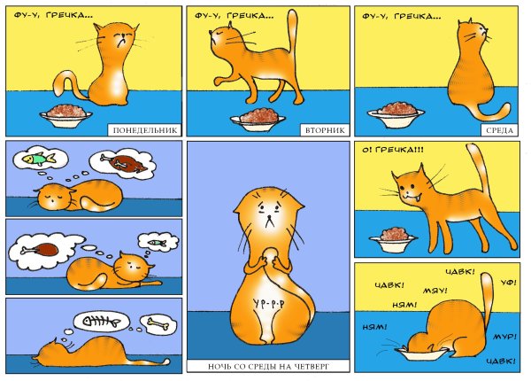 Вау гречка анекдот