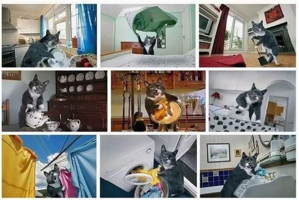 Кот убирается