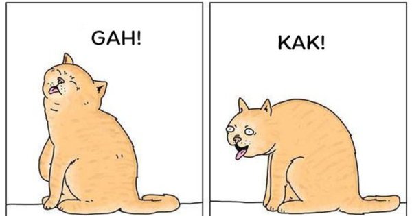 Кот рыгает Мем