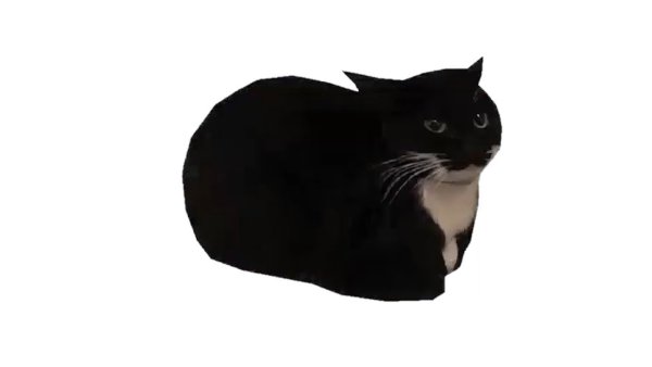 Максвелл кот Мем