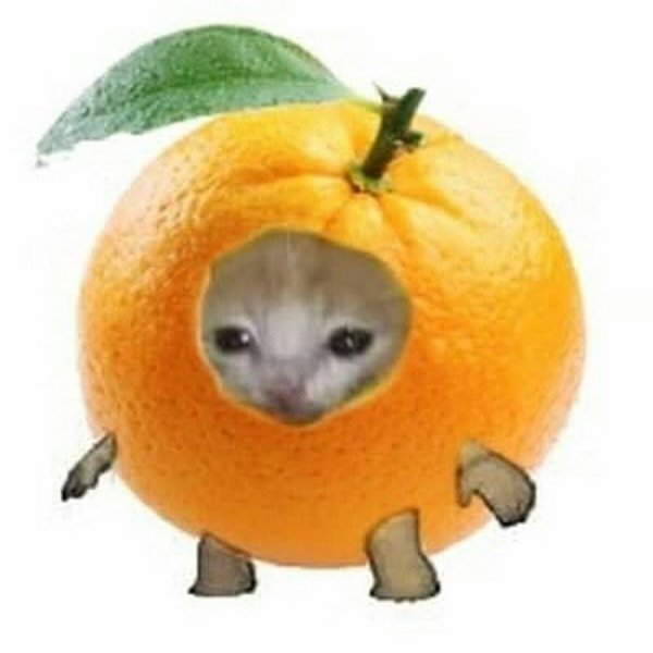 Животные в виде фруктов