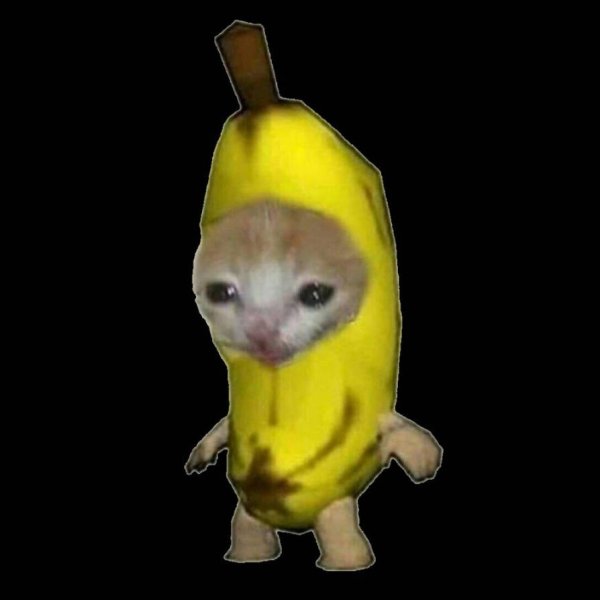 Котёнок в костюме бонана