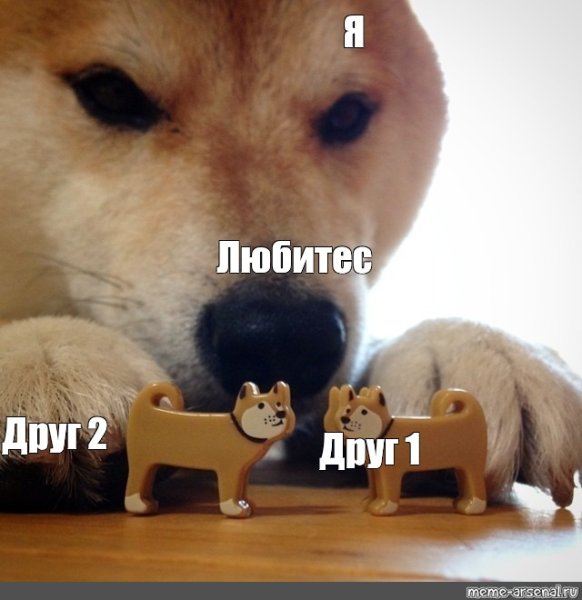 Сиба ину ебитес