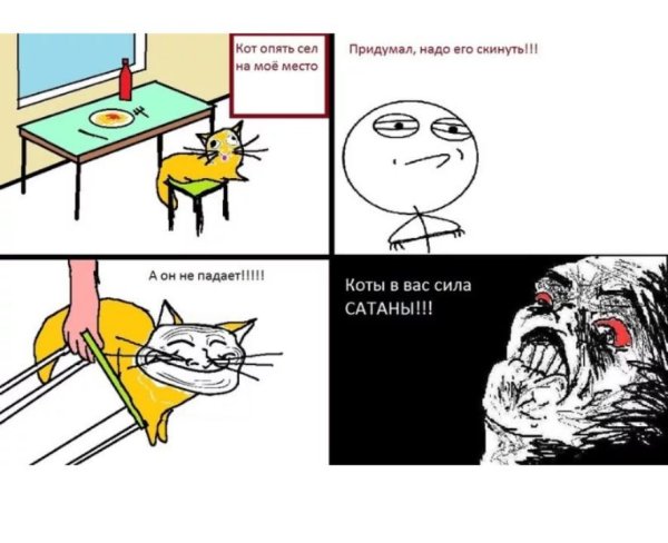 Смешные коты мемы