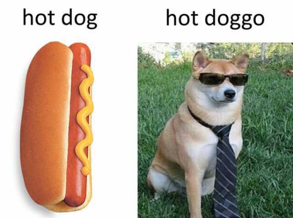 Хот дог Мем