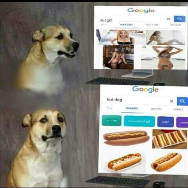 Хот дог Мем с собакой