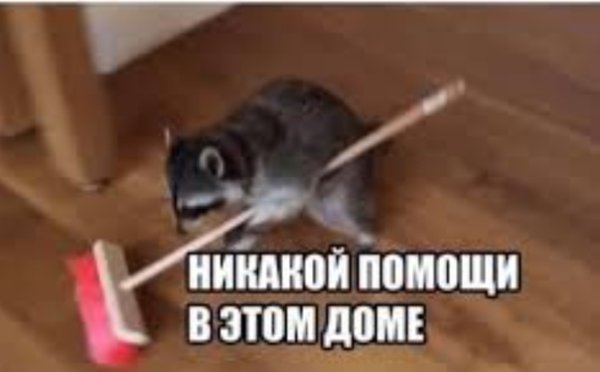 Никакой помощи в этом доме кот Мем