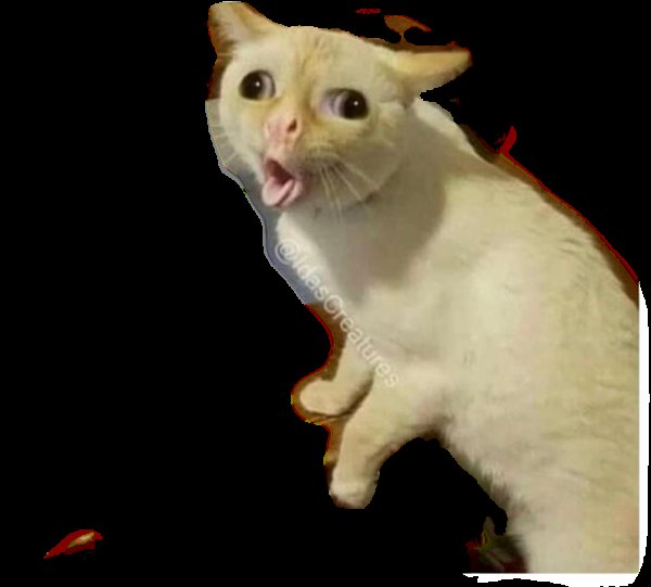 Кот кашляет Мем