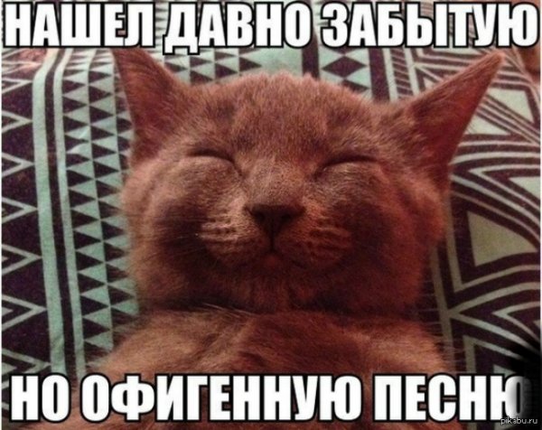 Кот кайфует