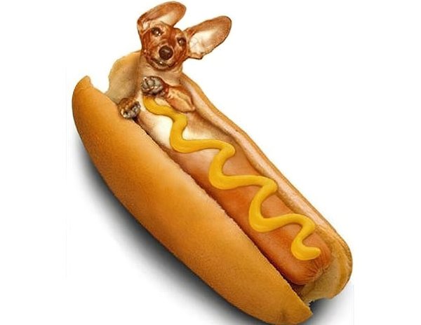 Собака сосиска
