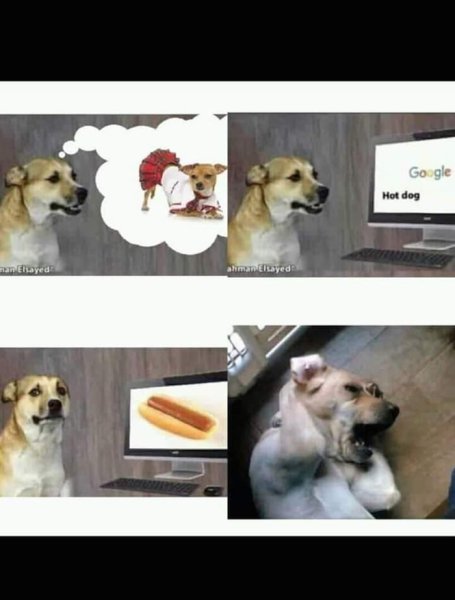 Горячая собака Мем