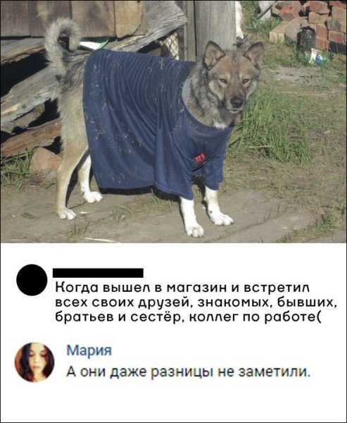 Когда вышел и встретил всех