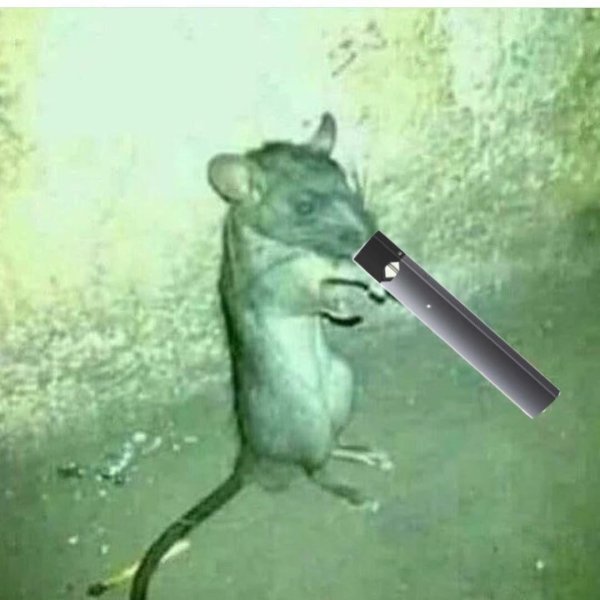 Мышонок с сигаретой