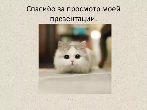 Котик спасибо за внимание
