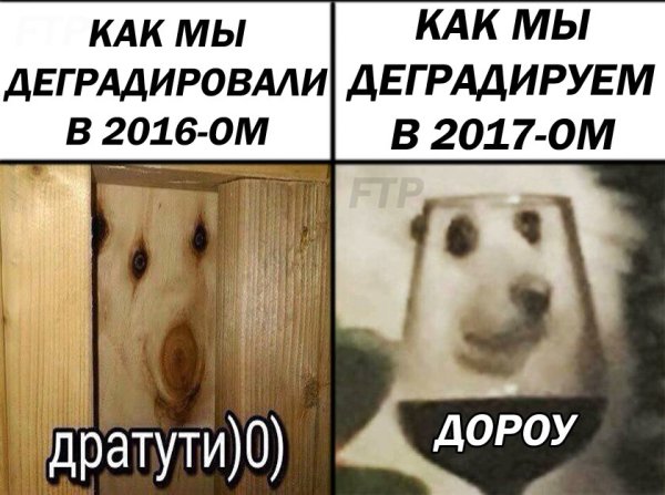 Дратути Мем кот