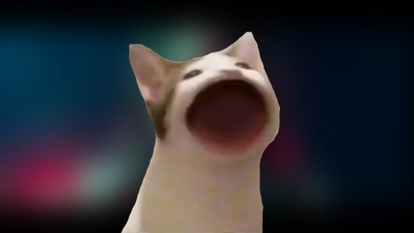 Кот открывает рот