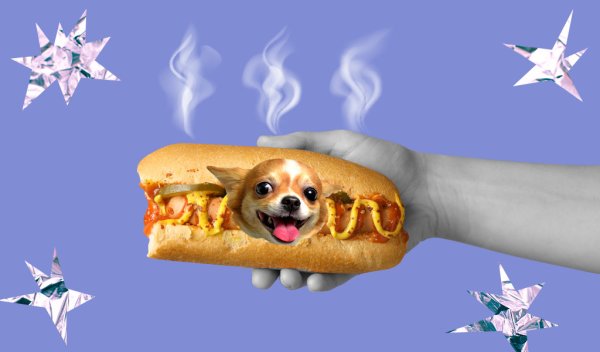 Хот дог собака