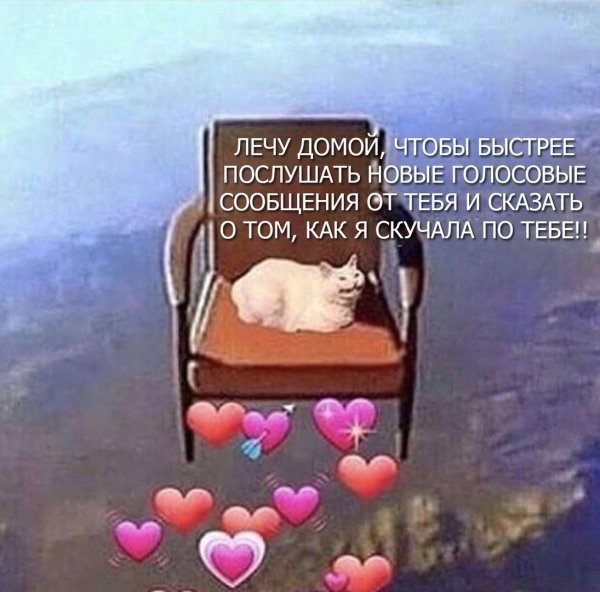 Мем летим в таджикистон