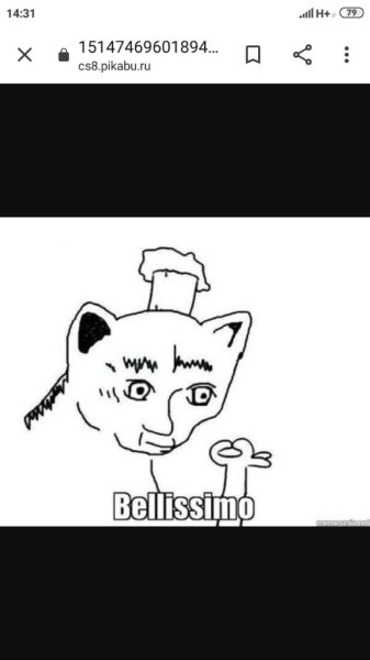 Кот Белиссимо