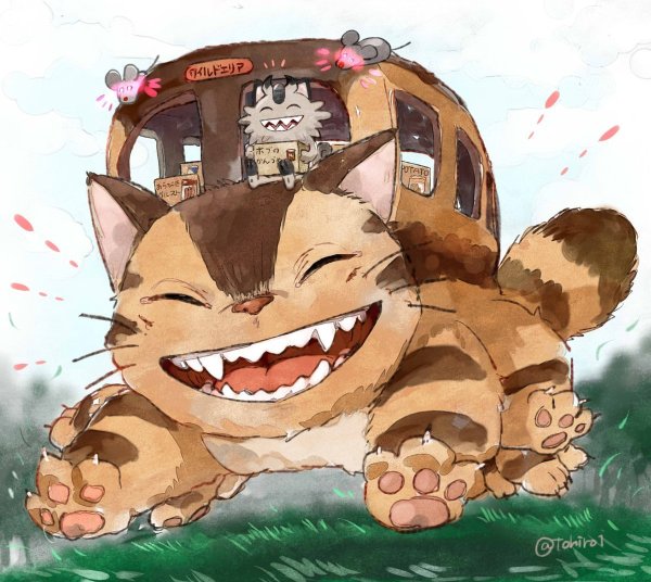 Кот автобус