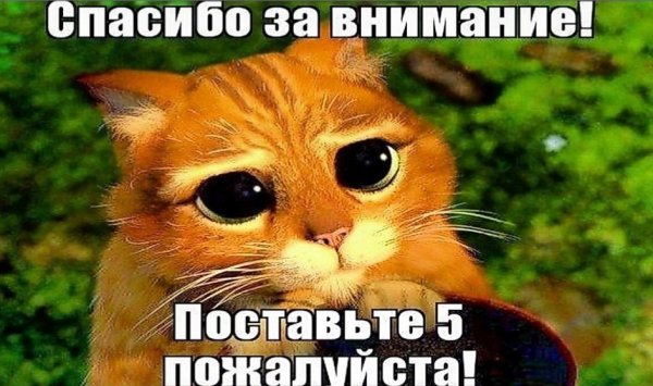 Спасибо за внимание поставьте 5