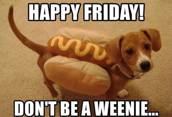 Happy Friday собаки