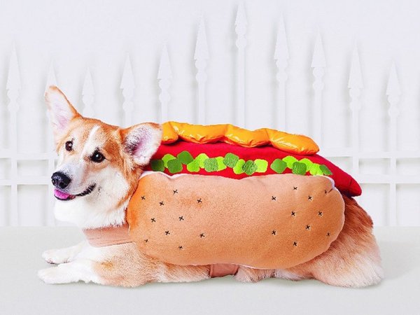 Корги сарделька