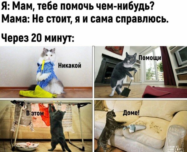 Никакой помощи в этом доме кот Мем