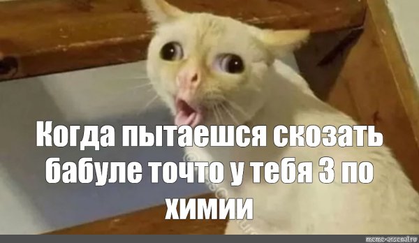 Кот кашляет Мем