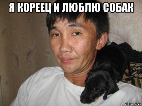 Корейцы и собаки