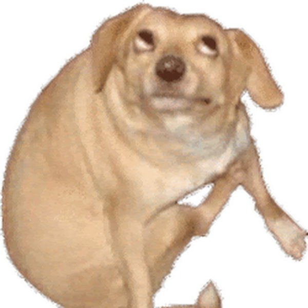 Собака без фона