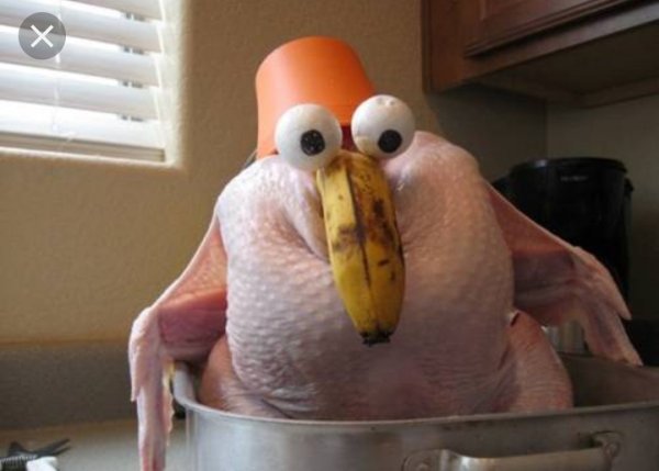 Смешная курица